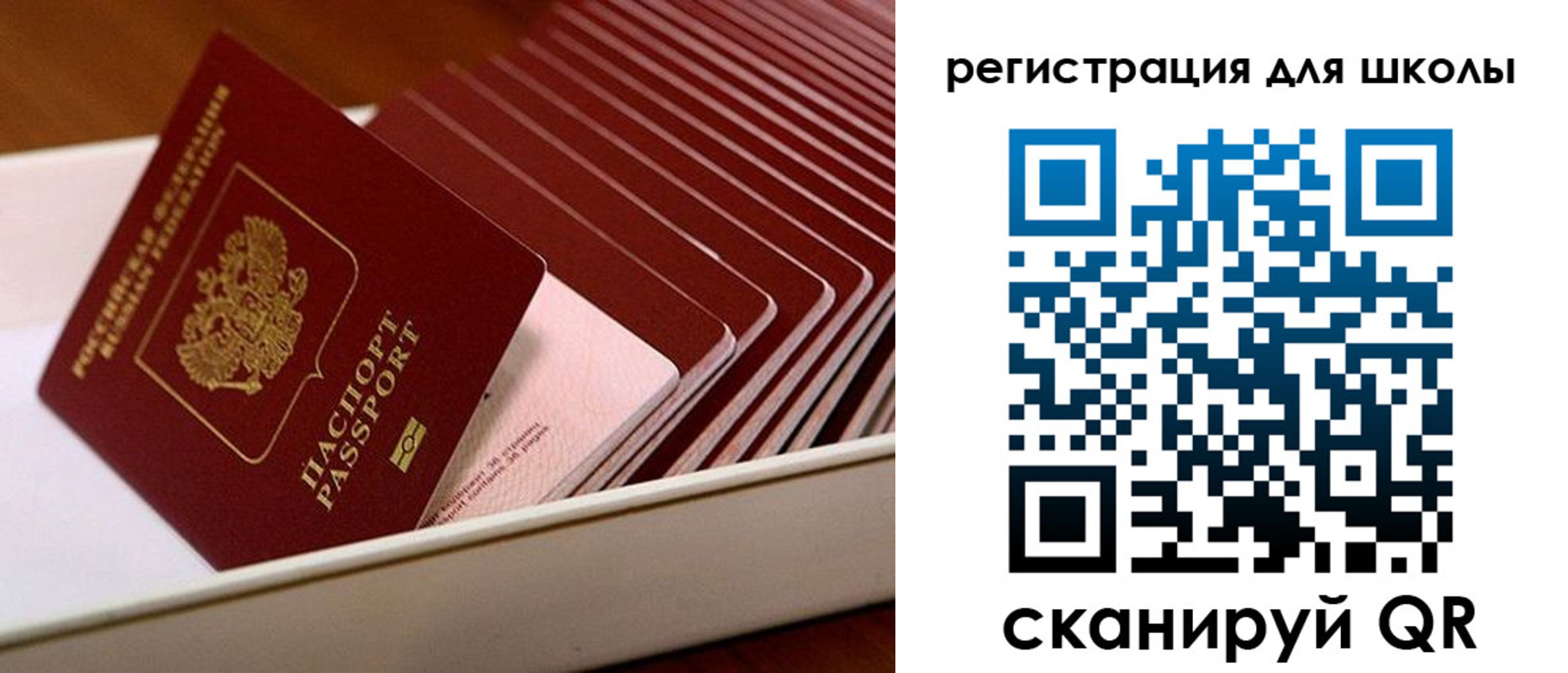 прописка гарантия в Нижегородской области